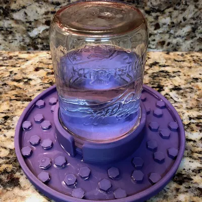 Máng Ăn Và Cấp Nước Cho Ong