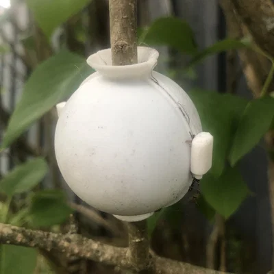 Trụ Ươm Cây Tích Cực