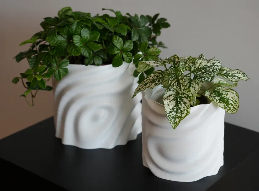 Chậu Hoa Tan Chảy - Image 1