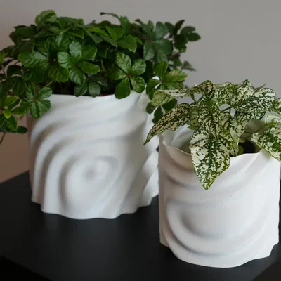 Chậu Hoa Tan Chảy