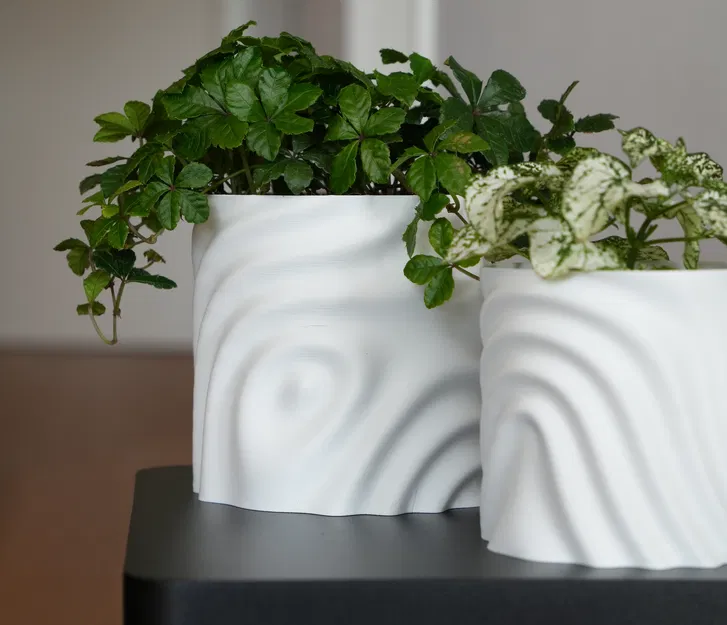 Chậu Hoa Tan Chảy - Image 2