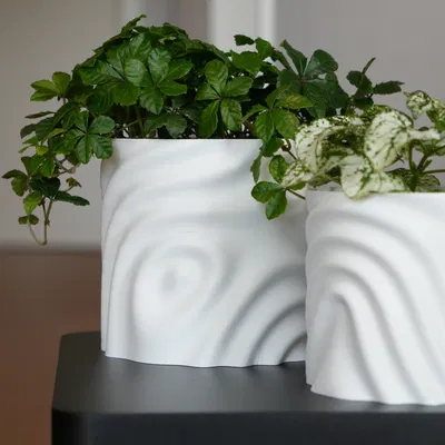 Chậu Hoa Tan Chảy