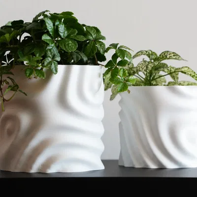 Chậu Hoa Tan Chảy