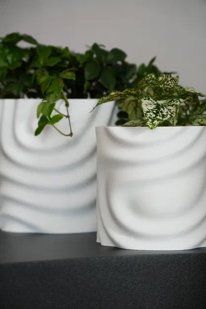 Chậu Hoa Tan Chảy - Image 5