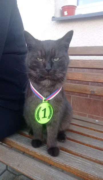 Huy Chương Các Loại - Image 3