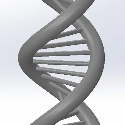 Mô Hình Xoắn Ốc DNA 3D
