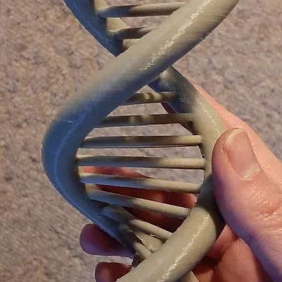 Mô Hình Xoắn Ốc DNA 3D