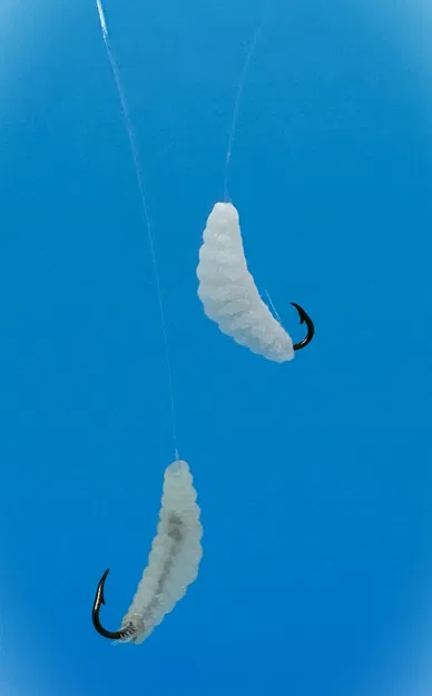 Mồi Câu/Lưỡi Câu Cá - Giòi - Image 2