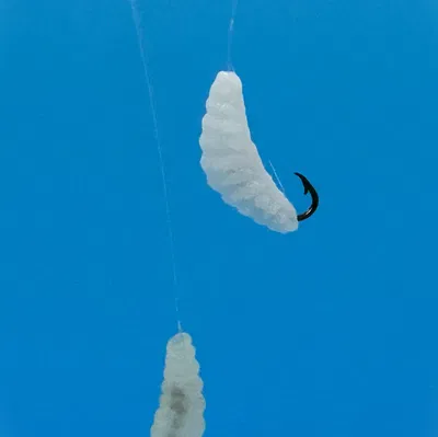 Mồi Câu/Lưỡi Câu Cá - Giòi