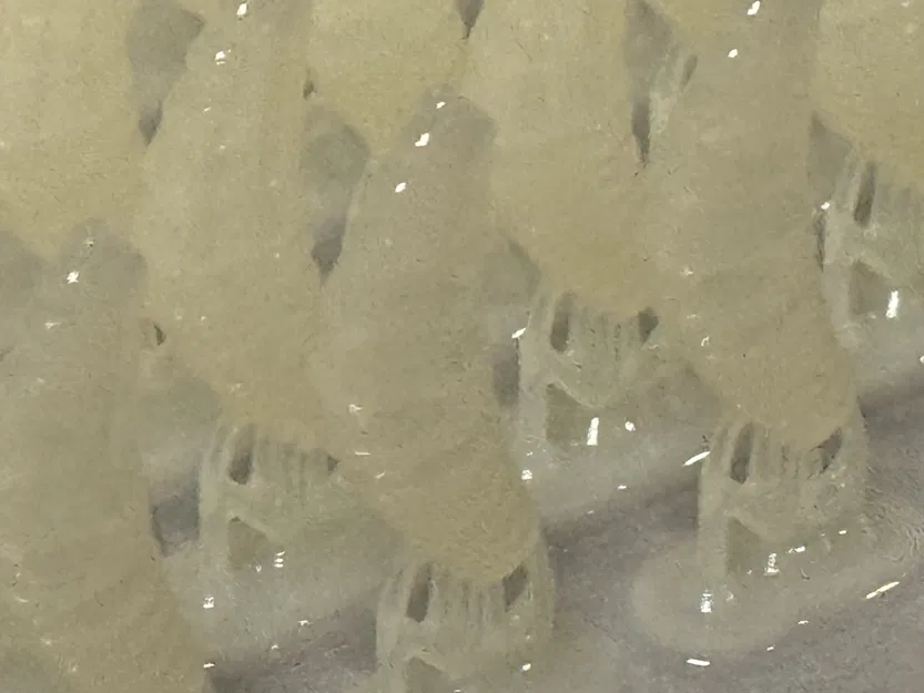 Mồi Câu/Lưỡi Câu Cá - Giòi - Image 8