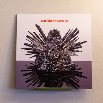 Kệ Trưng Bày Đĩa Nhạc Vinyl (Gắn Bằng Miếng Dán Command)