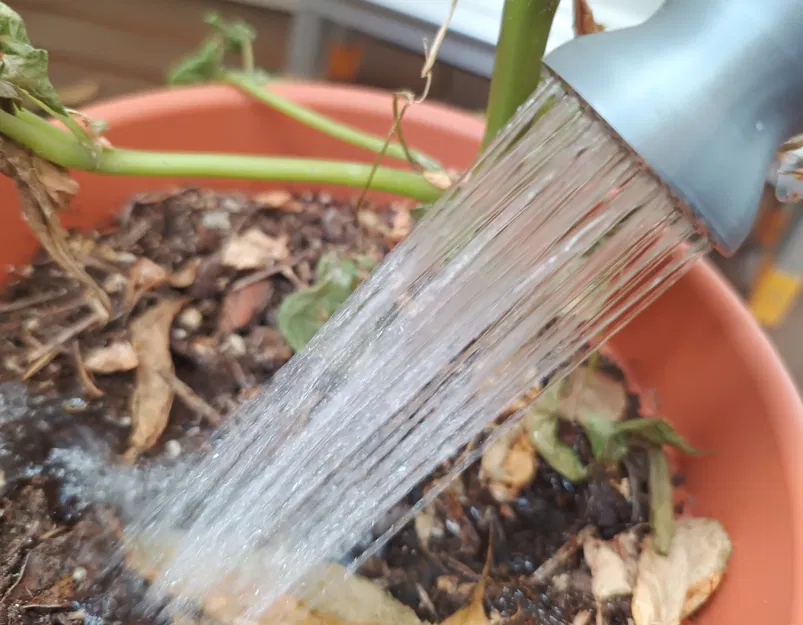 Vòi Nước Thẳng - Image 7