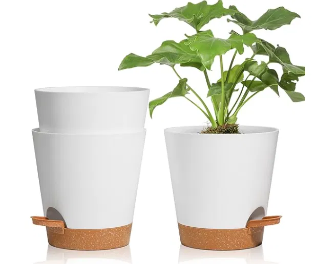 Chậu hoa tự tưới 003 - Image 1