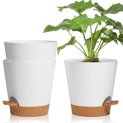 Chậu hoa tự tưới 003