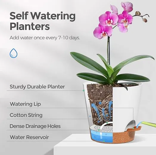 Chậu hoa tự tưới 003 - Image 2