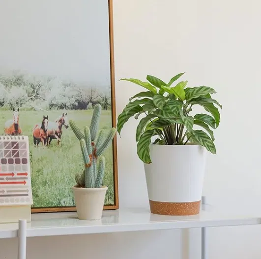 Chậu hoa tự tưới 003 - Image 3