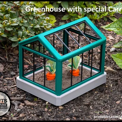 Nhà Kính Mini Với Cà Rốt Độc Đáo - Ý Tưởng Quà Tặng Tiền