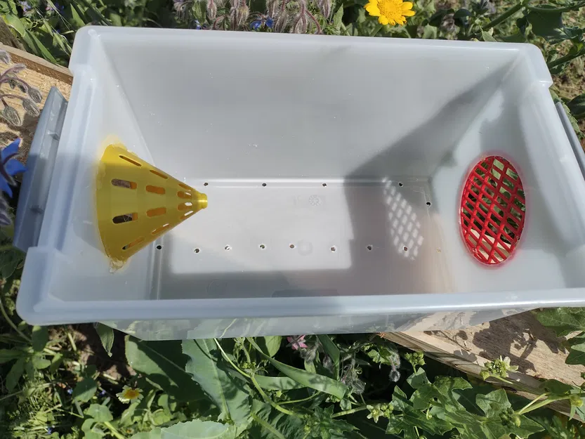 Bẫy Ong Bắp Cày Châu Á (Asian Hornet Trap) - Image 5