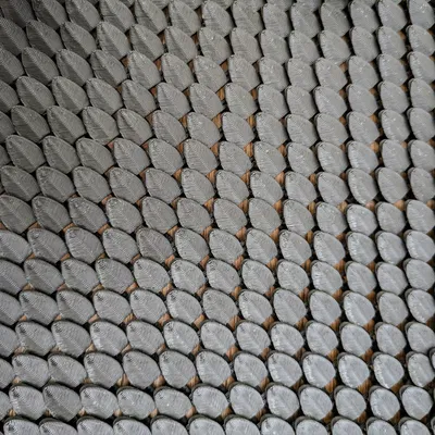 Da Rồng Modular - CẬP NHẬT 2025