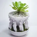 Chậu Cây "milo-planter" - Thumbnail 1