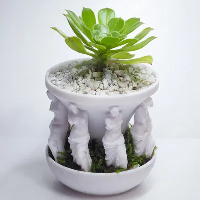 Chậu Cây "milo-planter"