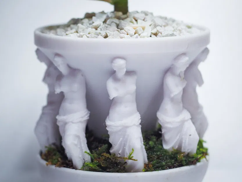 Chậu Cây "milo-planter" - Image 2