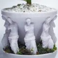 Chậu Cây "milo-planter" - Thumbnail 2