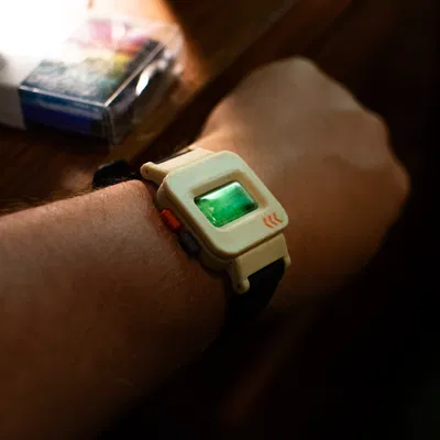 The Terminal Watch (Casio mod)