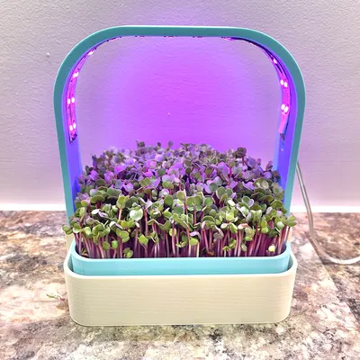 Nông Trại Rau Mầm Đặt Bàn Với Đèn Chiếu Sáng