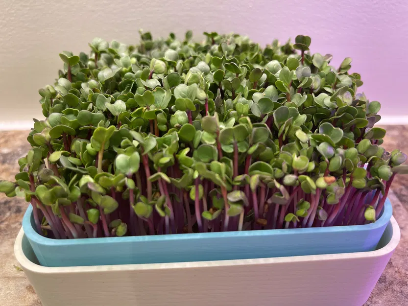 Nông Trại Rau Mầm Đặt Bàn Với Đèn Chiếu Sáng - Image 2