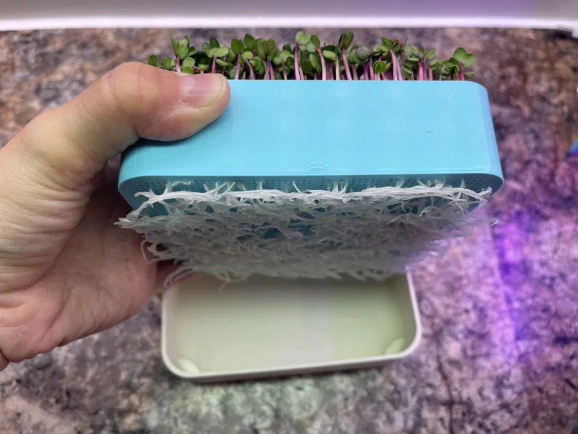 Nông Trại Rau Mầm Đặt Bàn Với Đèn Chiếu Sáng - Image 3