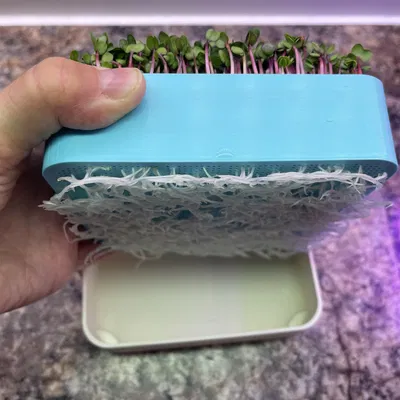 Nông Trại Rau Mầm Đặt Bàn Với Đèn Chiếu Sáng