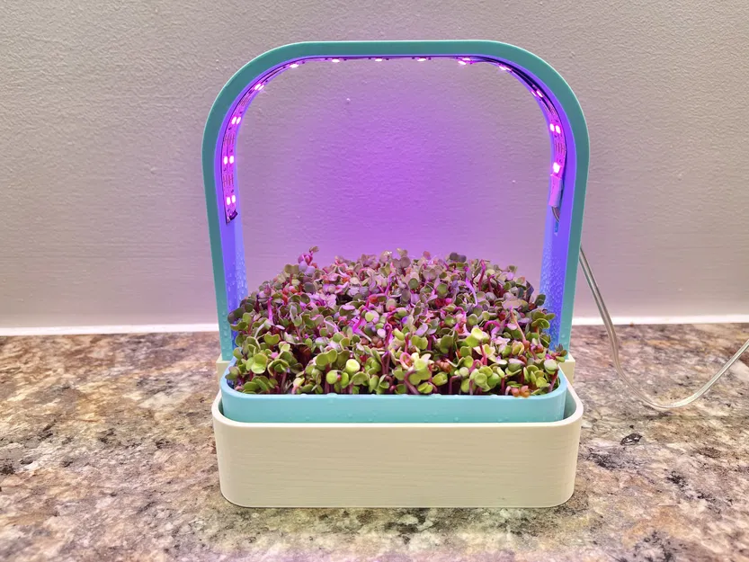 Nông Trại Rau Mầm Đặt Bàn Với Đèn Chiếu Sáng - Image 4