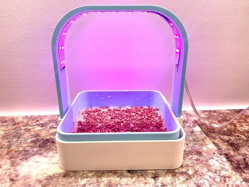 Nông Trại Rau Mầm Đặt Bàn Với Đèn Chiếu Sáng - Image 5