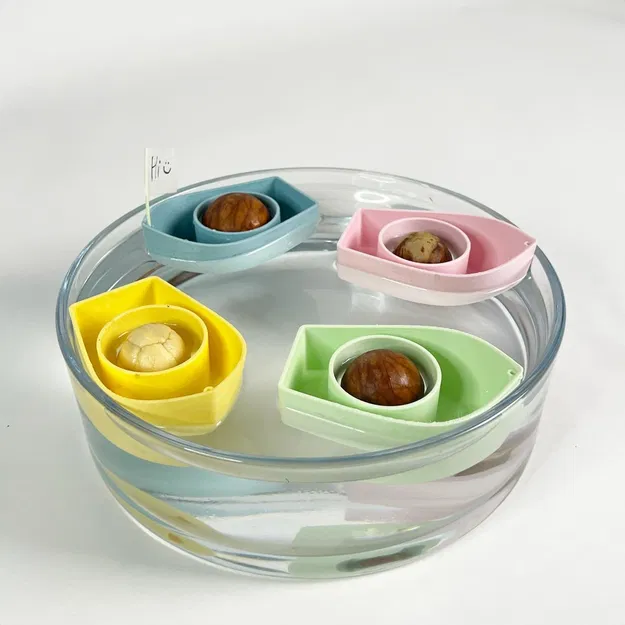 Thuyền Trái Bơ V2.0! Trồng Cây Bơ Của Riêng Bạn! - Image 1