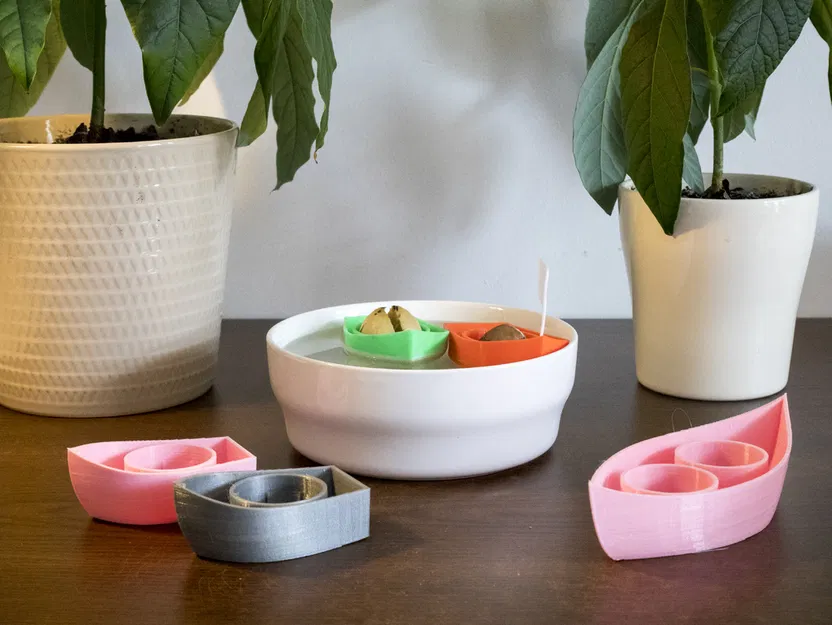 Thuyền Trái Bơ V2.0! Trồng Cây Bơ Của Riêng Bạn! - Image 5