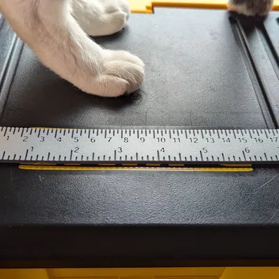 Thước Kẻ Lỗ Ly và Hệ Mét