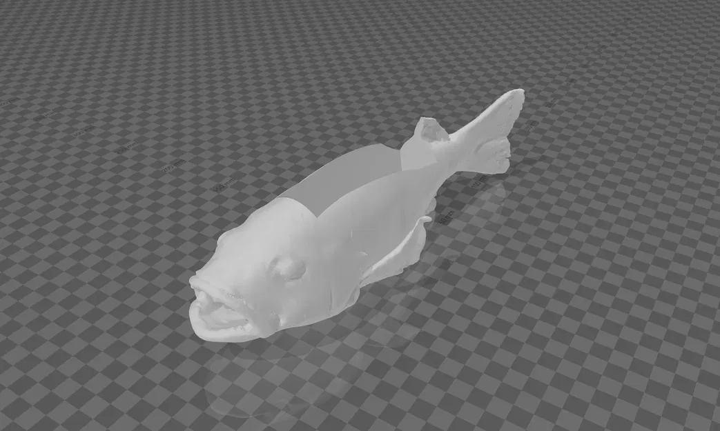 Kệ Đựng Danh Thiếp Hình Cá Snapper - Image 1