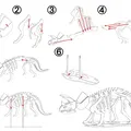 [3Dino Puzzle] Khủng long Triceratops Phong cách Cổ điển - Thumbnail 2