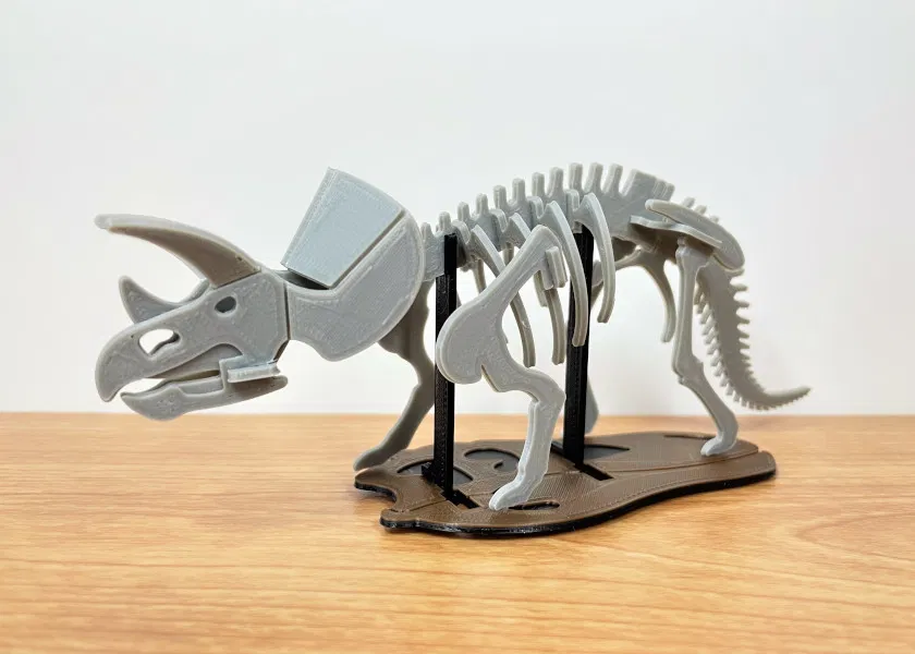 [3Dino Puzzle] Khủng long Triceratops Phong cách Cổ điển - Image 6