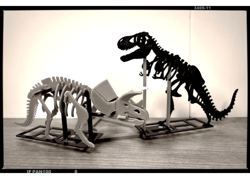 [3Dino Puzzle] Khủng long Triceratops Phong cách Cổ điển - Image 7