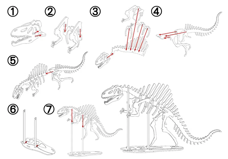 [3Dino Puzzle] Spinosaurus Phong Cách Cổ Điển - Image 2