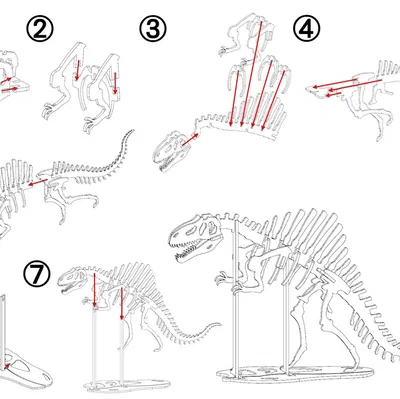 [3Dino Puzzle] Spinosaurus Phong Cách Cổ Điển