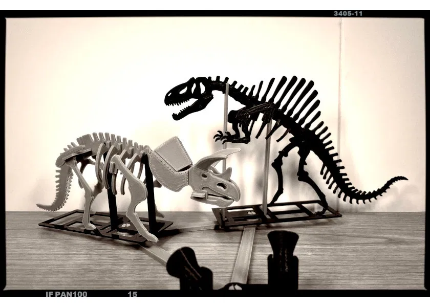 [3Dino Puzzle] Spinosaurus Phong Cách Cổ Điển - Image 7