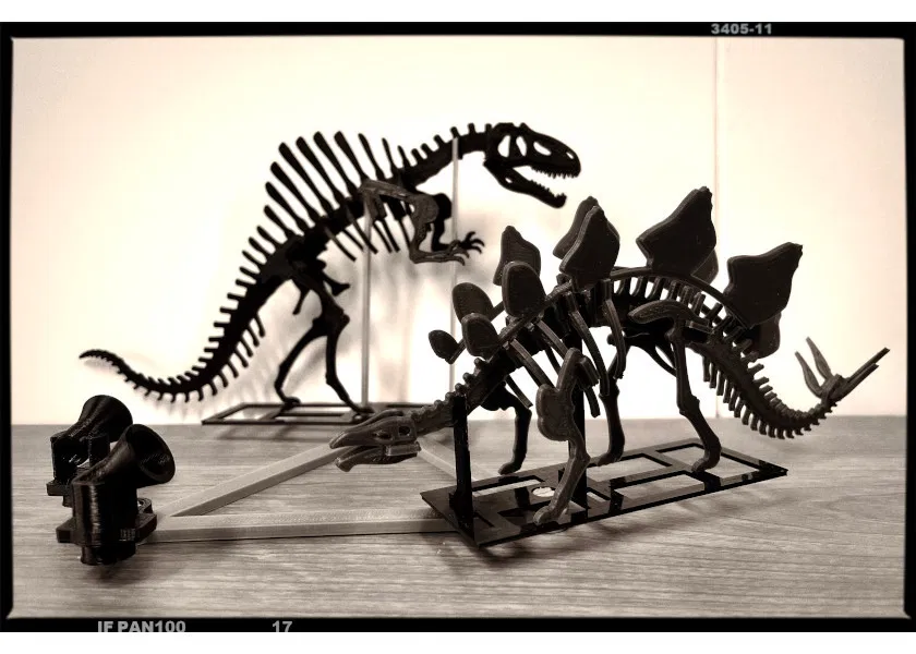 [3Dino Puzzle] Stegosaurus Phong Cách Cổ Điển - Image 7