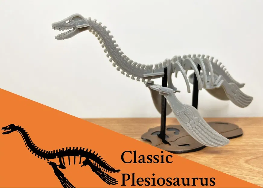 [3Dino Puzzle] Khủng long cổ đại Plesiosaurus - Image 1