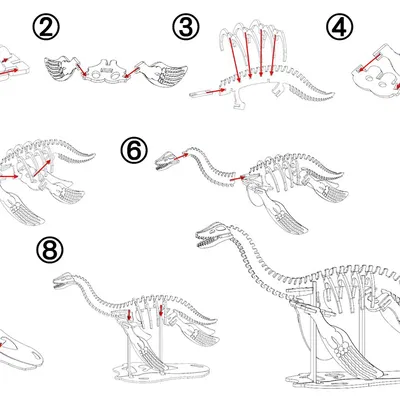 [3Dino Puzzle] Khủng long cổ đại Plesiosaurus
