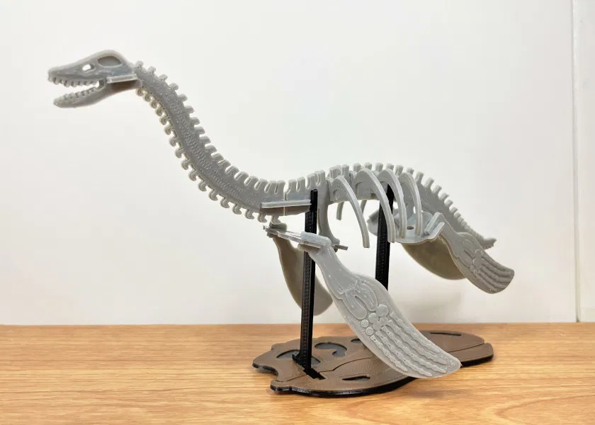 [3Dino Puzzle] Khủng long cổ đại Plesiosaurus - Image 6