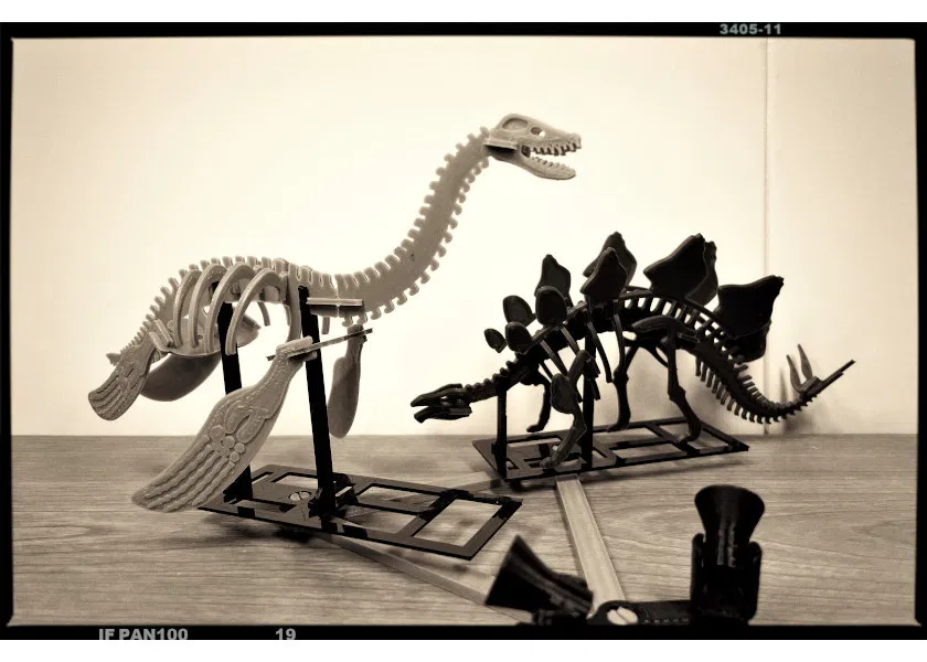 [3Dino Puzzle] Khủng long cổ đại Plesiosaurus - Image 7