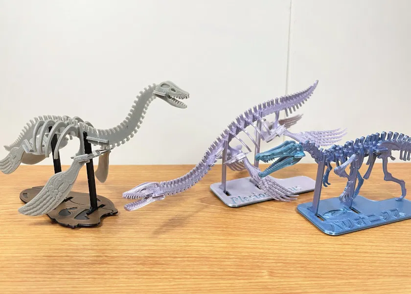 [3Dino Puzzle] Khủng long cổ đại Plesiosaurus - Image 8